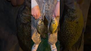 Day Fishing Success  Why Bad Weather Might Be the Best Time to Catch Record-Breaking Fish