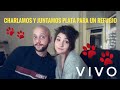 Un sol para los perritos ❤❤- VIVO