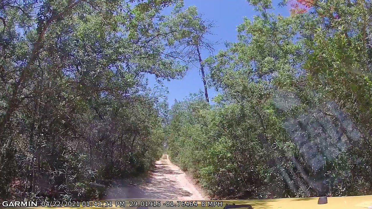 MoJo Jeep ride on the Tread Lightly Four Wheel Drive Way Jeep Badge of Honor