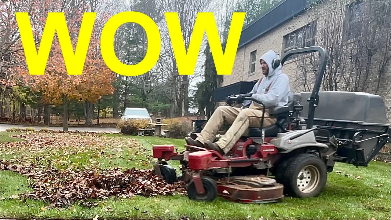 AMAZING Fall Leaf Cleanup! Start to Finish!