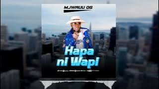 Baba kaija- hapa ni wapi ( audio music)