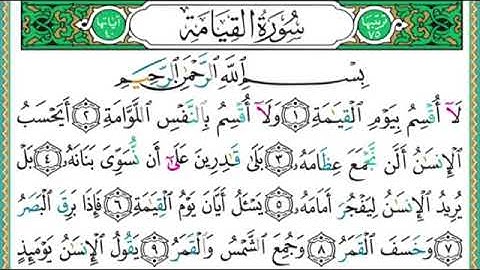 سورة القيامة من آية ١ إلى ٦   د/ أيمن سويد