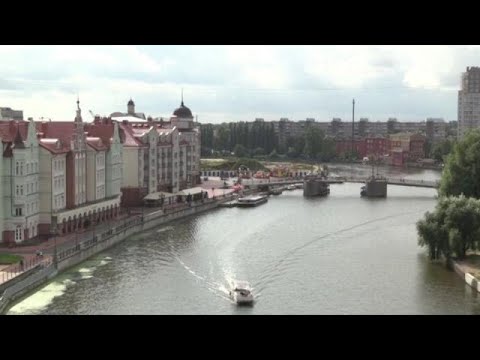 Vídeo: Quais Partidas Kaliningrado Sediará Na Copa Do Mundo FIFA