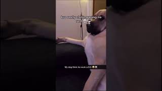 Blud is not paying rent 🤣☠️🏴‍☠️