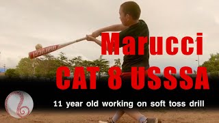 Marucci Cat 8 USSSA Baseball Bat