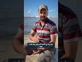 صياد من غزة يروي كيف تحوّل البحث عن لقمة العيش إلى رحلة يومية بين الرصاص والمطاردة والموت.