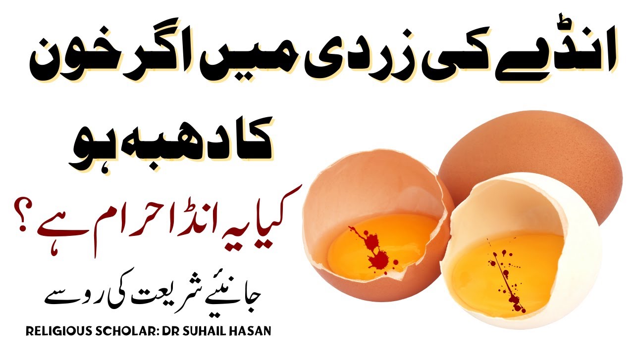 If there is blood in the egg yolk, is it halal or haram? Religious
