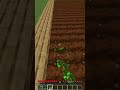 Tricks to Improve Your Minecraft Farm