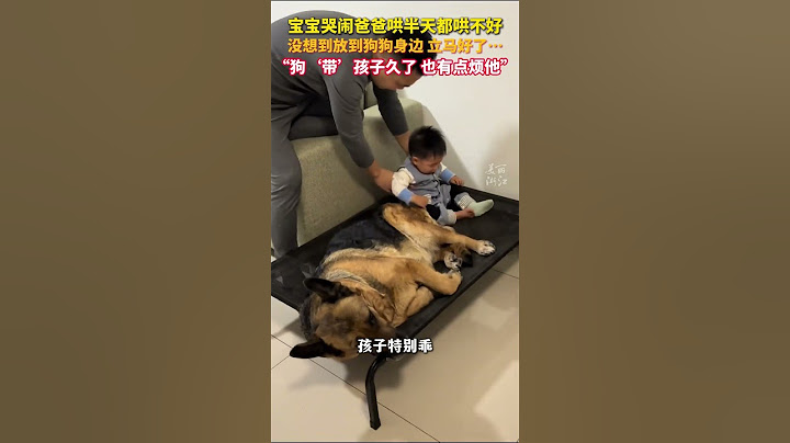 爸爸哄不好娃，就放到狗狗旁边。#狗狗带娃带得一脸疲惫 （来源：美丽浙江） #中国蓝国际culture #搞笑 #興趣 #創意 #创意 #推薦 #熱門 #cute
