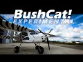 Kitplane! Skyreach Bushcat Aircraft - You Can Build and Afford FAST!