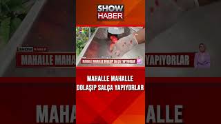 Alo Salçacı Hattı