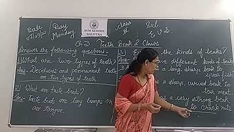 Class 4 Teeth,Beak Claws..... Questions answers