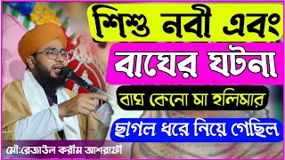 শিশু নবী এবং বাঘের ঘটনা বাঘ কেনো মা হালিমার ছাগল ধরে নিয়ে গিয়ে ছিলোmoulana_Rejaul_karim_ashrafi