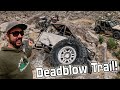 Deadblow trail at johnson valley ohv  koh2024 road trip rock crawling  s13e14