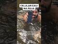 Celular caiu na água o que fazer iPhone 17 pro max #smartphone #tecnologia