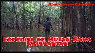 Cara bertahan di hutan rawa Kalimantan‼️