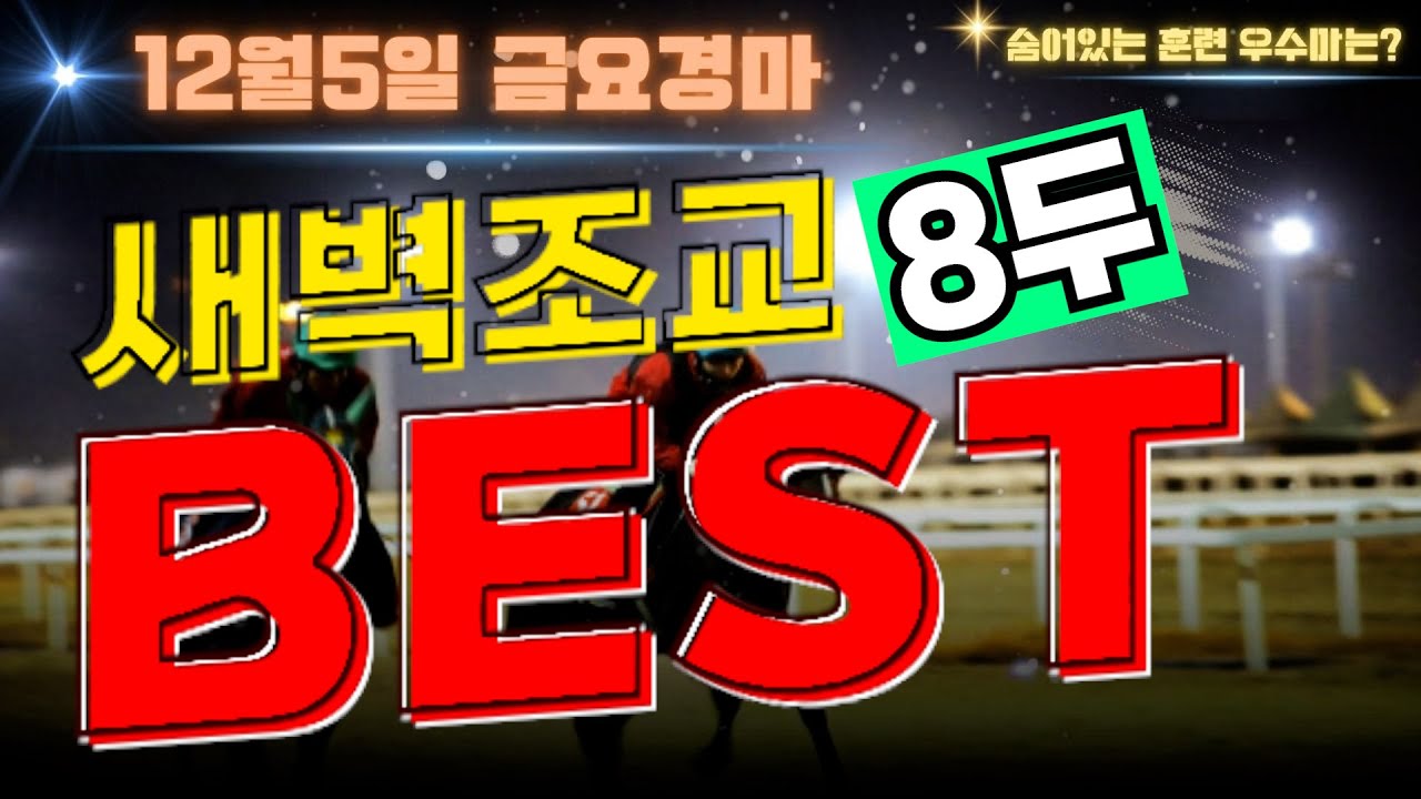 [굽소리경마] 12월5일 금요일 부산경마!! 어려운 부산경마 해법은? 준비잘된  훈련우수마 8두!!#새벽조교#과천경마장#조교우수마#굽소리경마