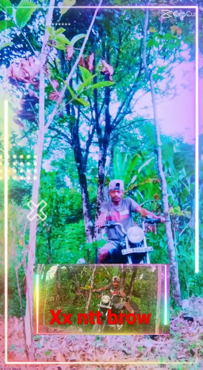 vidio xx ntt ter mix