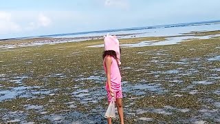 Low Tide Bolinao Beach, Yaman Ng Dagat Maghanap Jadeleaj Tv