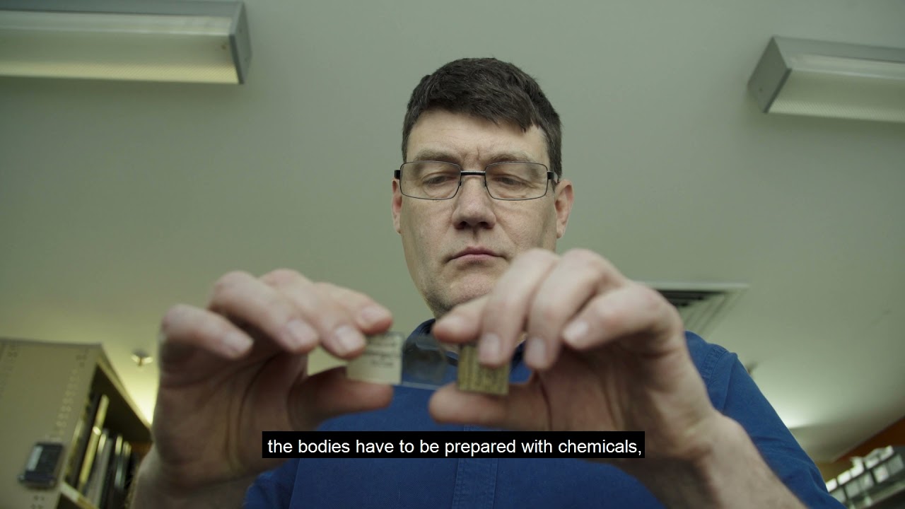 Collection Care - Terrestrial Invertebrates