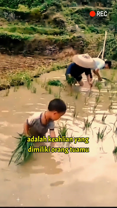 Kenapa orang China hebat-hebat?