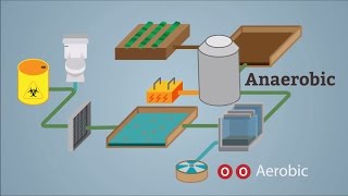 Sewage treatment - WELS (Waterpedia Environmental Learning Series)