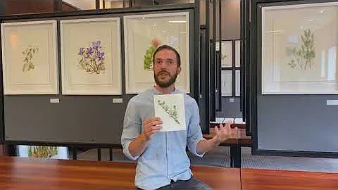 Grootbos' Artist-In-Reside...  Chris Lochner