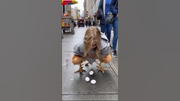 Người đi đường quá sốc khi nhìn thấy cô gái này