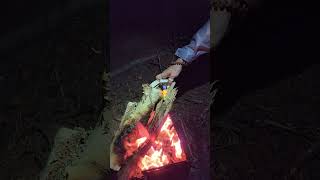 Paper Straw Fire Starter