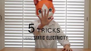 Five Amazing Tricks and Science Experiments Using Static Electricity Net Worth