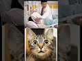 Give this video totle ( warning answer) # cat #reaction