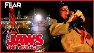 Jaws Attacks On Christmas Eve | Jaws: The Revenge | Fear