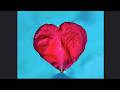 Eternal Beauty and Love in Rumi's Poem - All Through Eternity