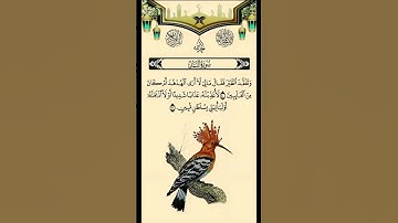 سورة النمل #القرآن_الكريم #راحه_نفسيه #فعل_زر_الجرس_على_الكل_لتكن_اول_من_يصلك_فيدوهاتنا