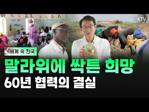 아프리카의 작은 보석 국가, <strong>말라위</strong>! 한-<strong>말라위</strong> 수교 60주년, 농업부터 교육까지 양국 협력 성과와 미래 관계 전망 (with 박재경 주짐바브웨 대사)