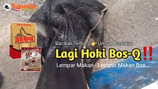 Umpan Ikan Mas Kombinasi Jitu Djempol Amis || Langsung Test