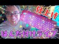 【自作キーボードLIVE】ついに仕上げ！完成させるまで配信終わりません！！！