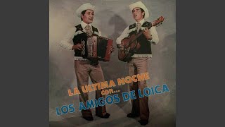 Video thumbnail of "Los Amigos de Loica - La Mesera"