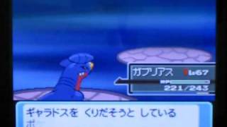 ポケットモンスター プラチナ 戦闘 キンガ団ボス アカギ Youtube ポケットモンスター プラチナ 戦闘 キンガ団ボス アカギ Youtube