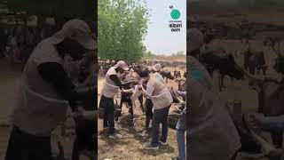 2026 Yurt Dışı Kurban Nijer