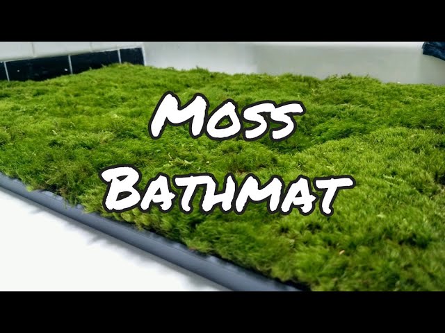 How to Make a Moss Shower Mat, ehow.com