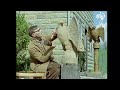 Soothing Woodcarving in the English Countryside (1961) | Archive highlights