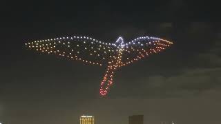 Stunning Drone Show In Sharjah 2026 New Year Celebrations In Dubai, Sharjah - Uae