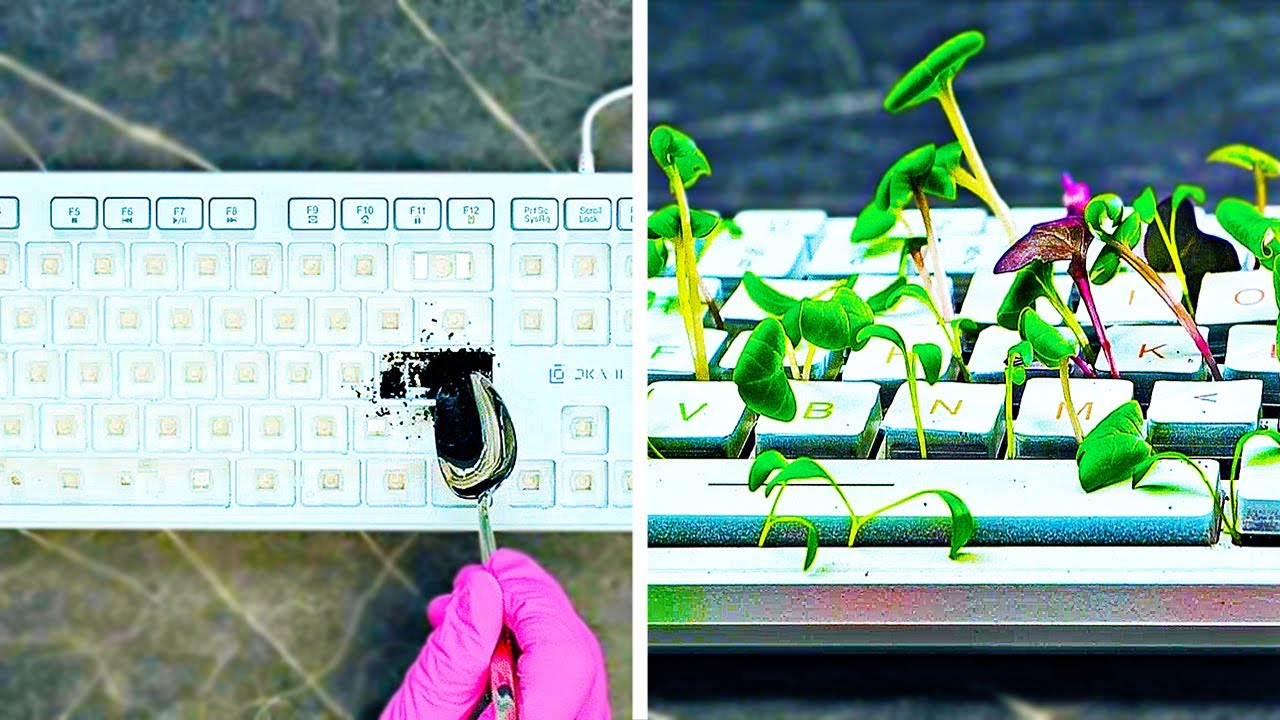28 AWESOME HACKS TO GROW YOUR OWN PLANTS - YouTube