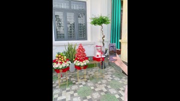 TIỆM HOA 1991 - SHOP HOA TƯƠI, TRÁI CÂY NGHỆ THUẬT - MỘ ĐỨC, QUẢNG NGÃI