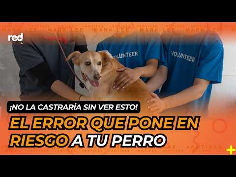 DEADLY? The TRUTH behind NEUTERING