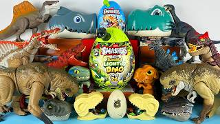 ASMR Jurassic World Unboxing Colorful Dinosaur T-rex Spinosaurus D-rex Carnotaurus Raptor Blue ZURU