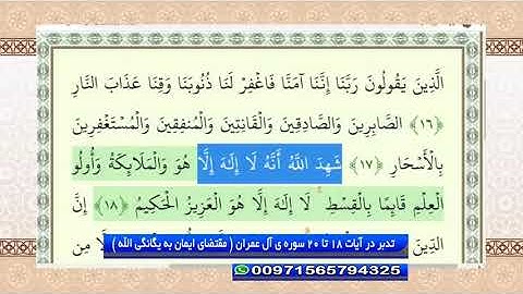 تدبر در قرآن: تدبر در آیات 18 تا 20 سوره ی آل عمران ( مقتضای ایمان به یگانگی الله )