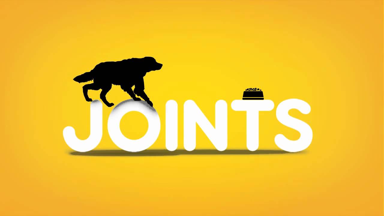 Healthy Joints: Dog Food for Healthy Joints - Pedigree - YouTube