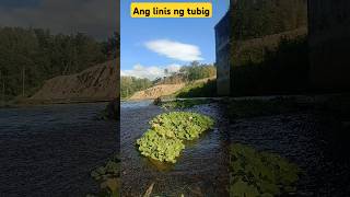 #blogging #nature #vlog #vlogs #vlogging #blogging